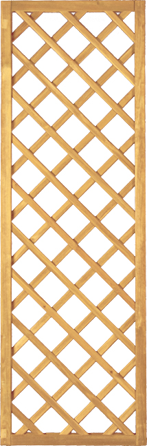 Diagonal-Rankzaun 10x10cm Maschenweite, 60x180cm, kdi