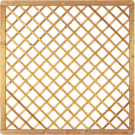 AVANTGARDE Rankgitter-Element, gerade - B 180 x H 180 cm