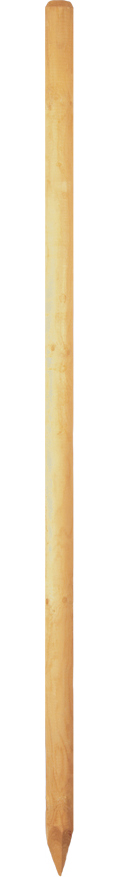 Baumpfahl grün 6 x 100 cm gefräst, gefast, gespitz