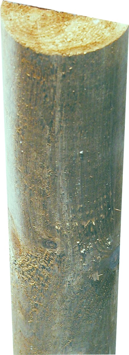 Querriegel grün 7 x 250 cm gefräst, Halbpalisade