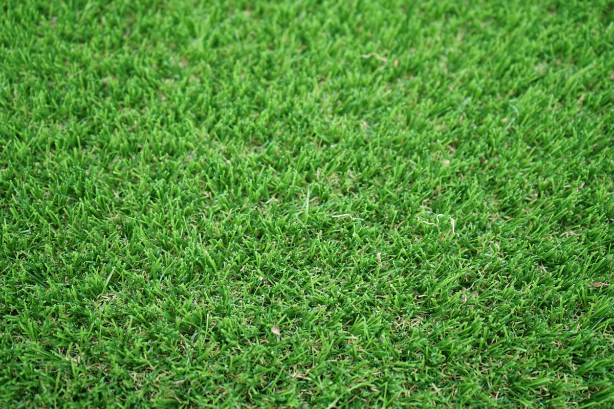 Kunstrasen ECO Splendid 37, Rolle 2x25 m, recycelbarer Rasenteppich