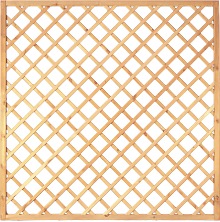 Diagonal-Rankzaun 10x10cm Maschenweite, 180x180cm, kdi