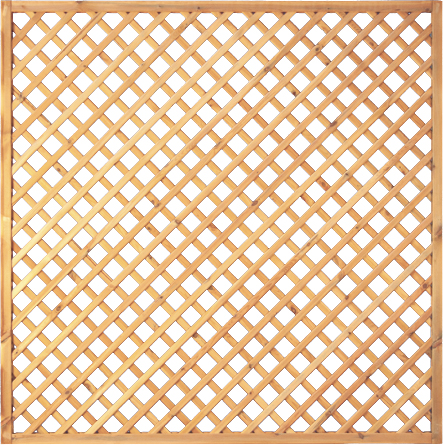 Diagonal-Rankzaun 6x6cm Maschenweite, 180x180cm, kdi